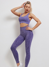 Yoga Tights Sports Bra and Leggings Set MH13351A