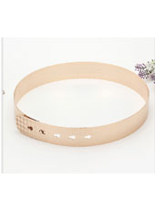 New Gold belt MH9040